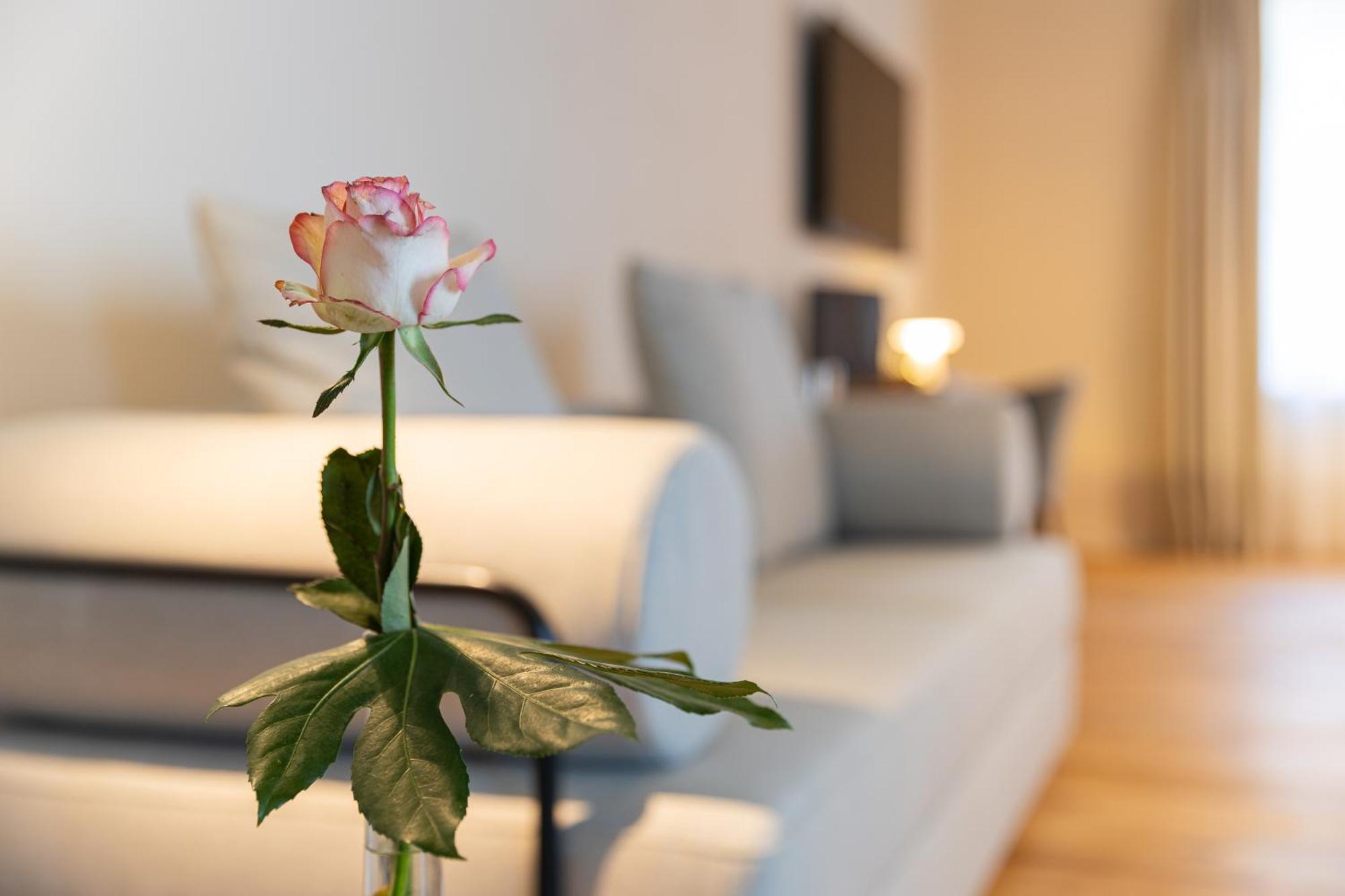 Boutique Hotel Gruener Zweig Schlettau Luaran gambar